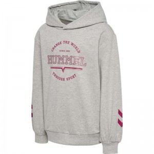 Dětské Mikina s Kapucí Hummel Elena Šedé | 425188-029